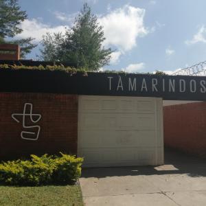 Foto de Tamarindos