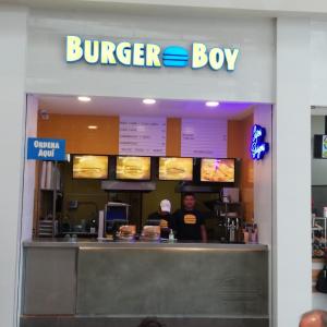 Burger Boy (Peri Roosevelt)