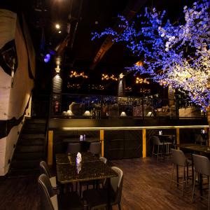 La Tana Sushi And Drinks La Tana Sushi And Drinks