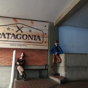 Foto de Patagonia